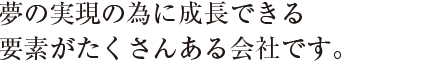 夢の実現の為に成長できる
要素がたくさんある会社です。